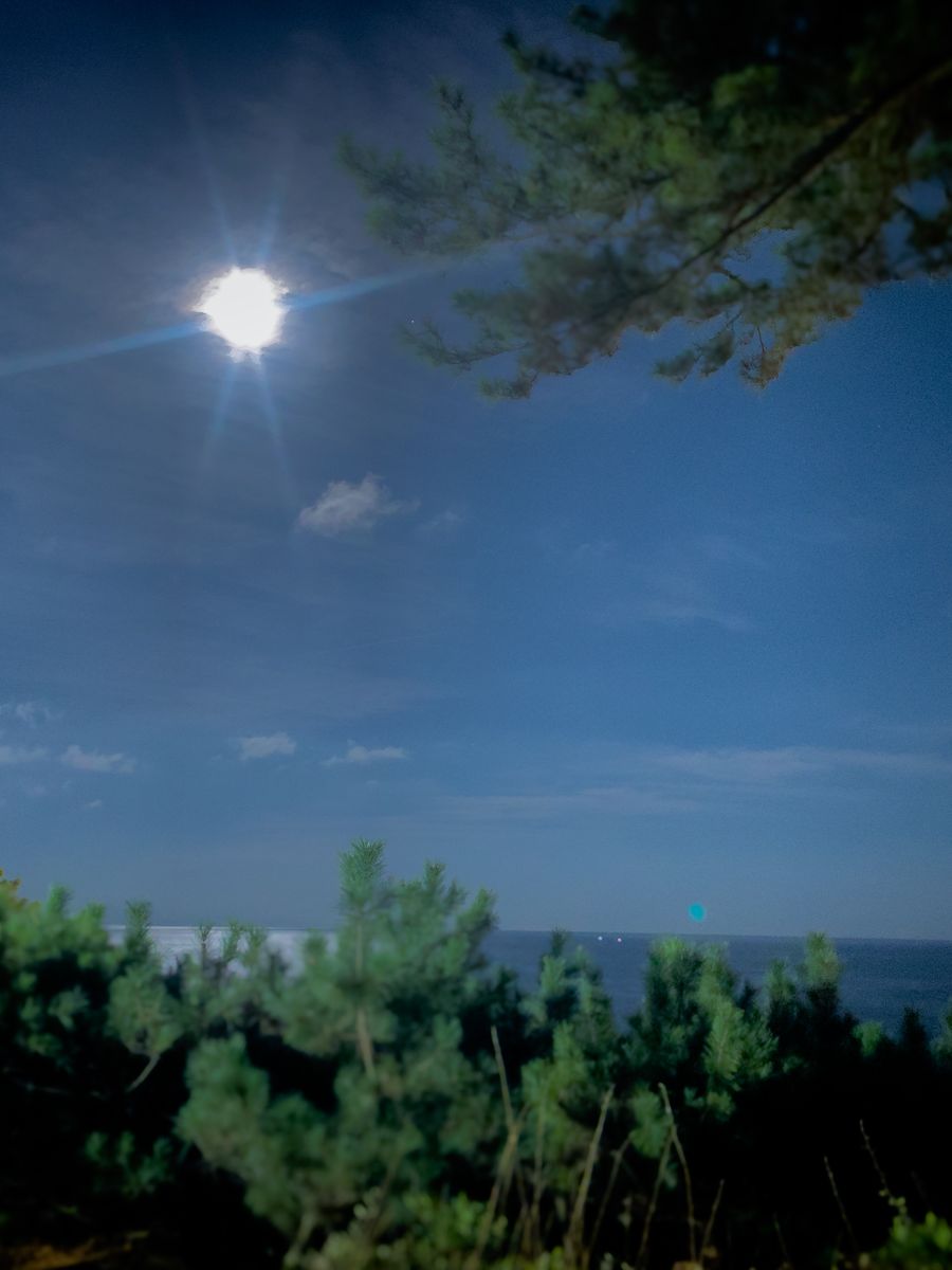 夜の海と月あかり
